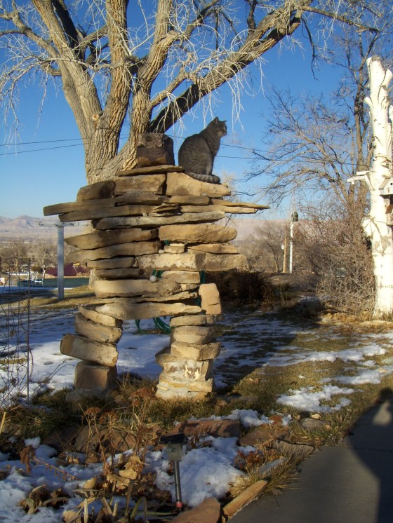 walter on the inukthing's shoulder
