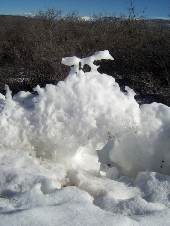 snow road runner @ blakk canyawn