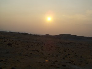 forest fire hazy sunset