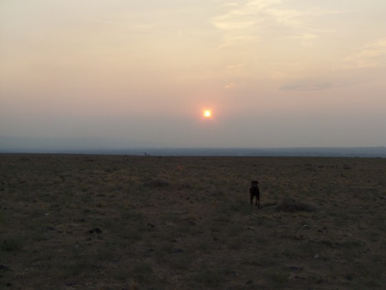 dually, futility, wha da hay