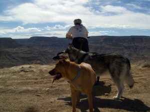 d dawgs canyons edge