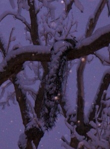 My beautiful picture