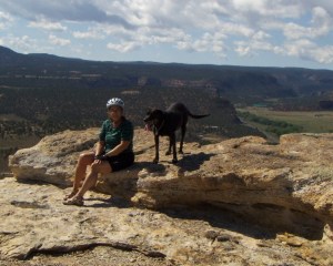 dool betty cactus top