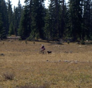 dool follows d mesa bike