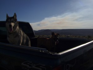 My beautiful picture