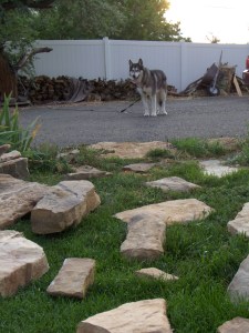 My beautiful picture