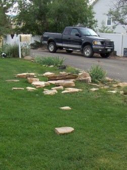 My beautiful picture