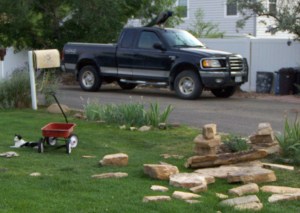 My beautiful picture