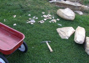 My beautiful picture