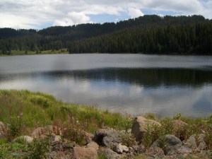 My beautiful picture