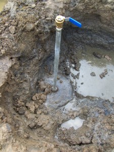 My beautiful picture