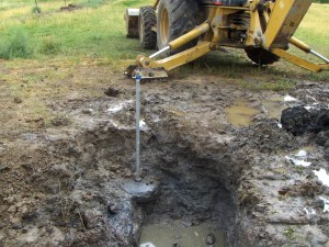 My beautiful picture