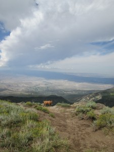 slvn and cloud shadow