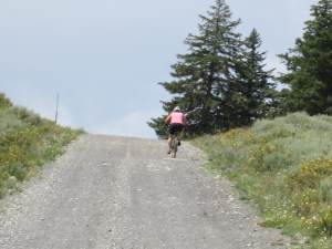 d pedal steep hillside