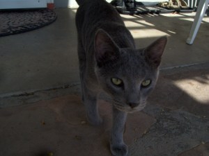 My beautiful picture