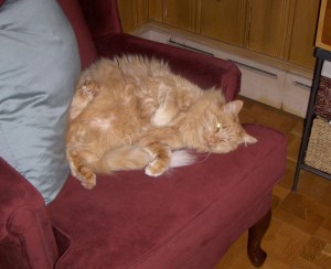 My beautiful picture