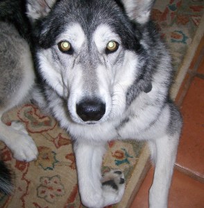 My beautiful picture