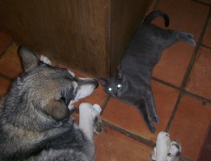 My beautiful picture