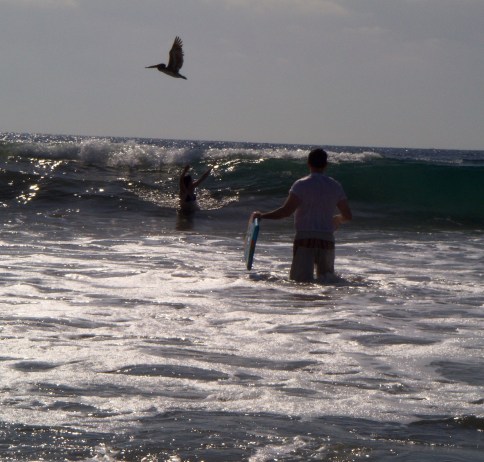 My beautiful picture