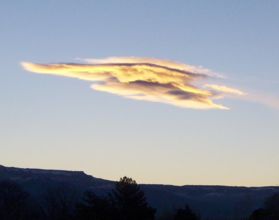 My beautiful picture