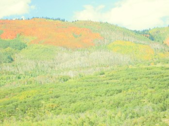 red_distant_hillside