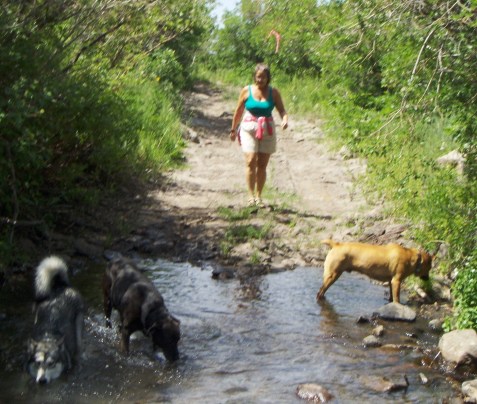 My beautiful picture