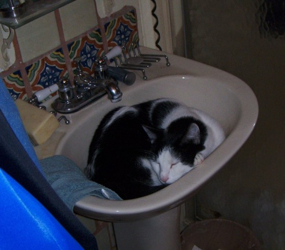 My beautiful picture