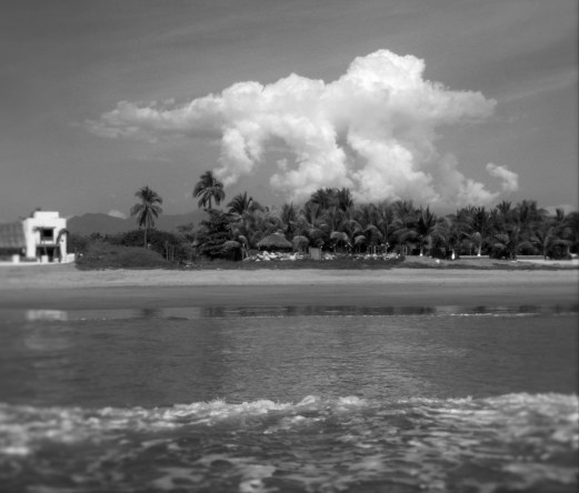 My beautiful picture