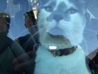 My beautiful picture