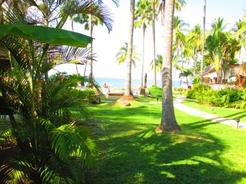 view of Pacific from patio at Casa Bollinger