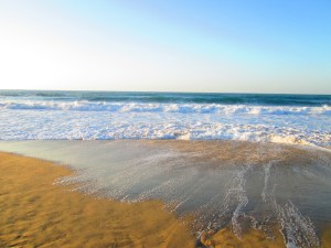 the oh-shun wroalzen, and it wroalzoubt